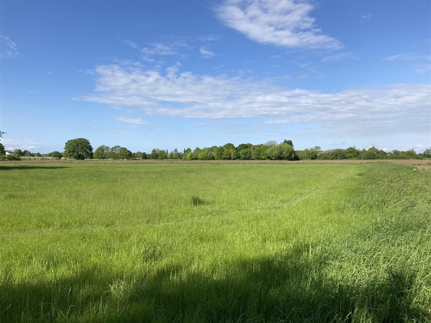 Residential property for sale in Cambridge Cheffins Auctions